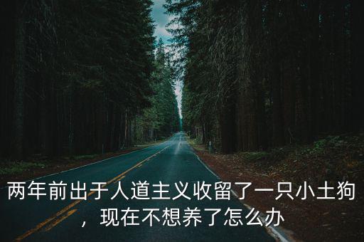 兩年前出于人道主義收留了一只小土狗，現在不想養了怎么辦