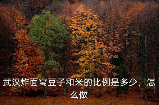 武漢的面窩是怎么配方的,武漢面窩是怎么做的