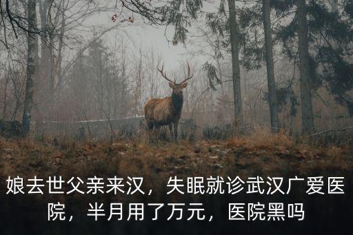 娘去世父親來漢，失眠就診武漢廣愛醫院，半月用了萬元，醫院黑嗎