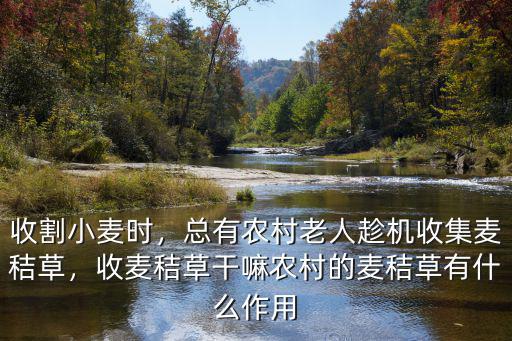 收割小麥時(shí)，總有農(nóng)村老人趁機(jī)收集麥秸草，收麥秸草干嘛農(nóng)村的麥秸草有什么作用