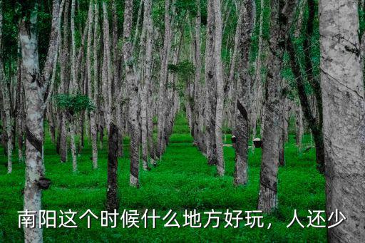 南陽這個時候什么地方好玩，人還少
