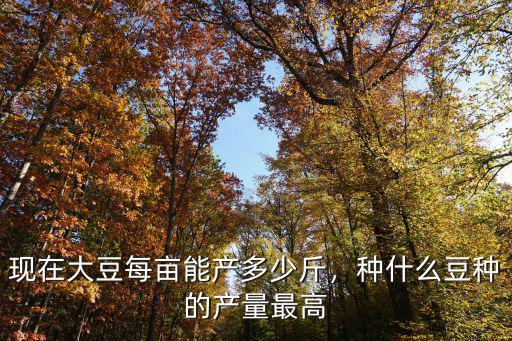 現在大豆每畝能產多少斤，種什么豆種的產量最高