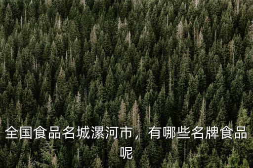 漯河市有多少食品廠,全國食品名城漯河市