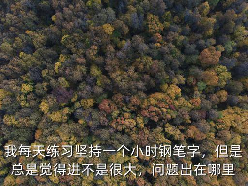 我每天練習堅持一個小時鋼筆字，但是總是覺得進不是很大，問題出在哪里