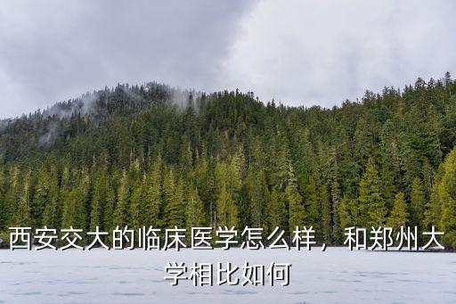 西安交大的臨床醫學怎么樣，和鄭州大學相比如何