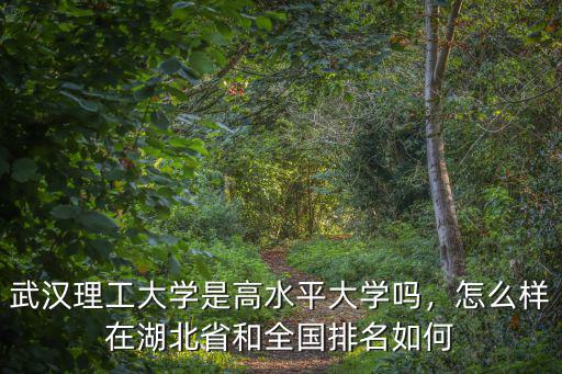 武漢理工大學(xué)是高水平大學(xué)嗎，怎么樣在湖北省和全國(guó)排名如何