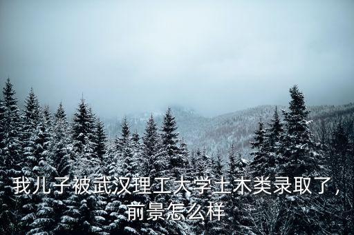 我兒子被武漢理工大學土木類錄取了，前景怎么樣