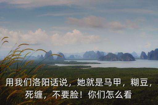 用我們洛陽話說，她就是馬甲，糊豆，死纏，不要臉！你們怎么看