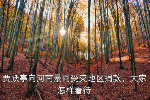 賈躍亭向河南暴雨受災地區(qū)捐款，大家怎樣看待