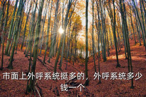 市面上外呼系統(tǒng)挺多的，外呼系統(tǒng)多少錢一個(gè)