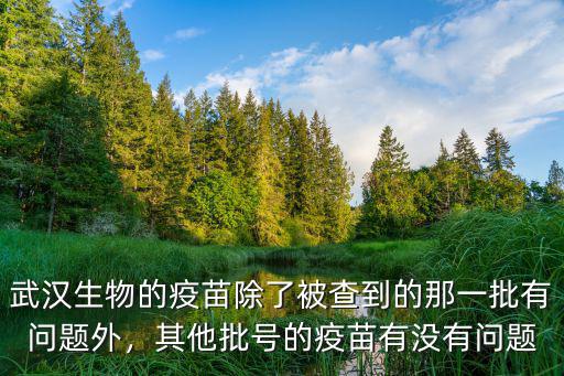 武漢生物的疫苗除了被查到的那一批有問題外，其他批號的疫苗有沒有問題