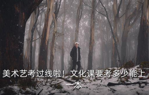 河南美術生文化課多少分能上本,文化課要考多少能上一本