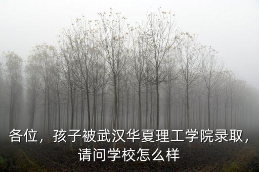 湖北華夏怎么樣,武漢華夏理工大學怎么樣