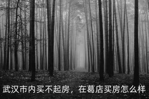 武漢市內買不起房，在葛店買房怎么樣