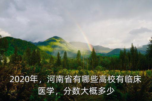 2020年，河南省有哪些高校有臨床醫學，分數大概多少