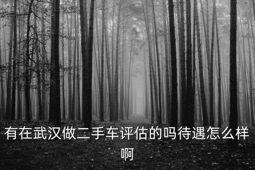 有在武漢做二手車評估的嗎待遇怎么樣啊