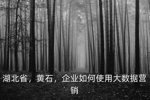 湖北省，黃石，企業如何使用大數據營銷