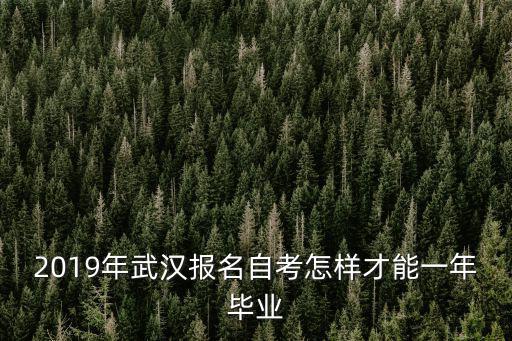2019年武漢報(bào)名自考怎樣才能一年畢業(yè)