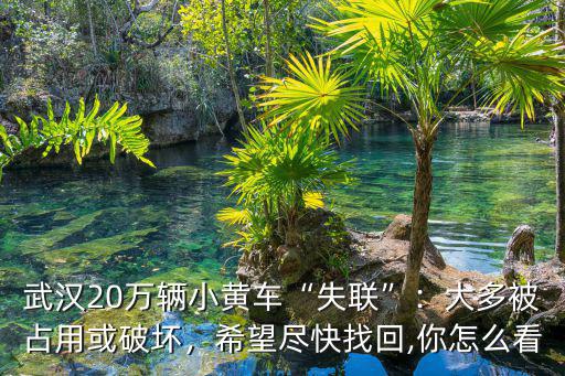 武漢怎么沒有小黃車了,武漢20萬輛小黃車失聯