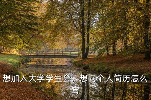武漢大學學生會簡歷怎么,想問個人簡歷怎么寫