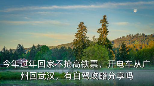 今年過(guò)年回家不搶高鐵票，開(kāi)電車(chē)從廣州回武漢，有自駕攻略分享嗎