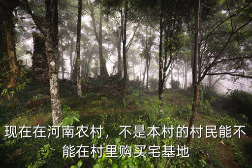 現在在河南農村，不是本村的村民能不能在村里購買宅基地