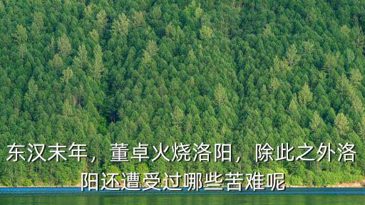 火燒洛陽然后去哪里,洛陽哪里有鹵煮火燒