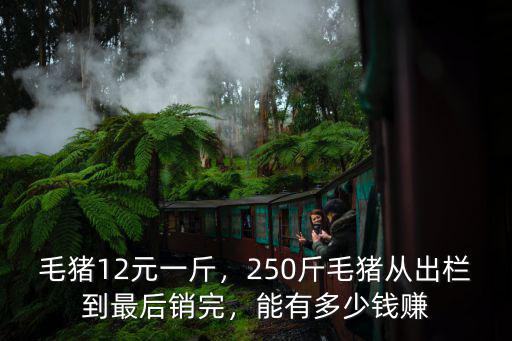 毛豬12元一斤，250斤毛豬從出欄到最后銷完，能有多少錢賺
