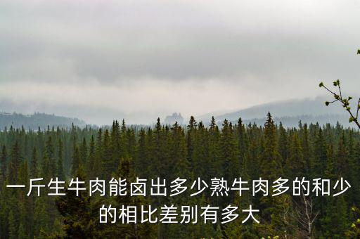 一斤生牛肉能鹵出多少熟牛肉多的和少的相比差別有多大