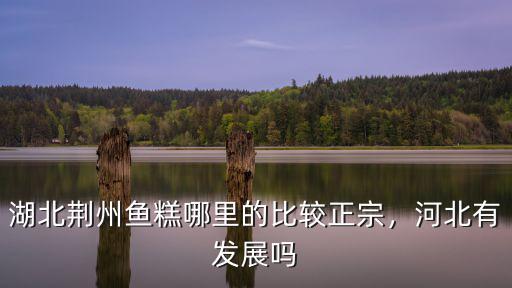 荊州的花糕魚糕怎么做,冰了的魚糕如何做的好吃