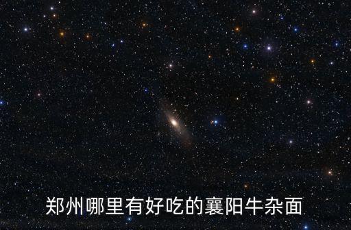 鄭州哪里有好吃的襄陽牛雜面