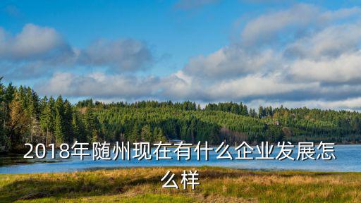 2018年隨州現在有什么企業發展怎么樣