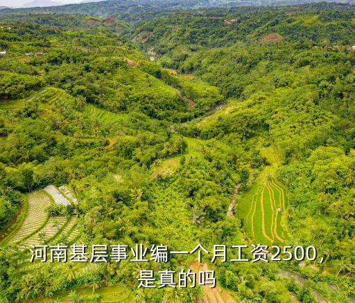 河南基層事業編一個月工資2500，是真的嗎