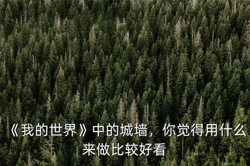 我的世界怎么建襄陽城墻,《我的世界》中的城墻