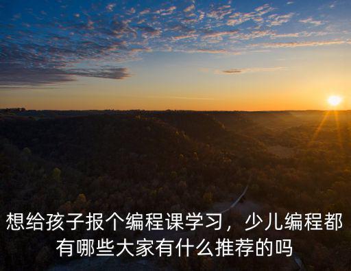 洛陽哪里有編程課,少兒編程都有哪些