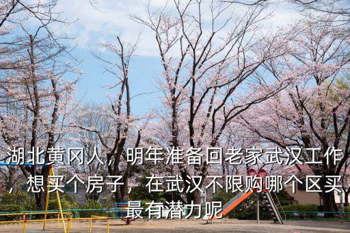湖北黃岡人，明年準備回老家武漢工作，想買個房子，在武漢不限購哪個區買最有潛力呢