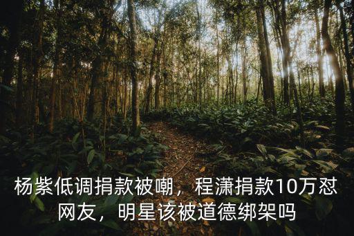 楊紫低調(diào)捐款被嘲，程瀟捐款10萬(wàn)懟網(wǎng)友，明星該被道德綁架嗎