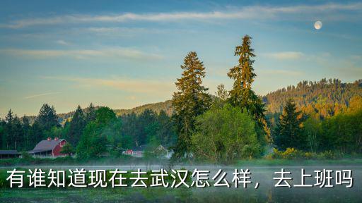 武漢仁和上班怎么樣,在武漢打工生活怎么樣
