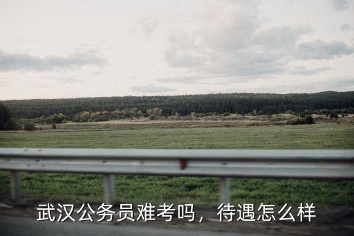 武漢市國稅系統待遇怎么樣,武漢市國稅局待遇怎么樣