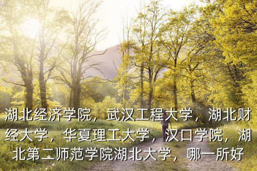 湖北經濟學院，武漢工程大學，湖北財經大學，華夏理工大學，漢口學院，湖北第二師范學院湖北大學，哪一所好