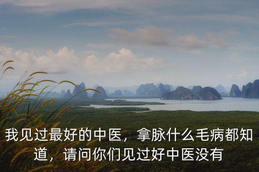 周口市哪里有把脈比較好的中醫,中醫把脈的具體位置在哪