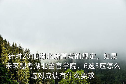 針對2018湖北新高考的規(guī)定，如果未來想考湖北警官學(xué)院，6選3應(yīng)怎么選對成績有什么要求