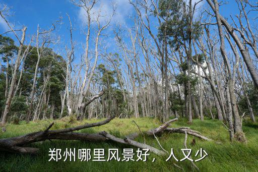 鄭州五一燒烤哪里人少,鄭州哪里的燒烤好吃