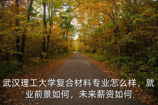 武漢理工大學復合材料專業怎么樣，就業前景如何，未來薪資如何
