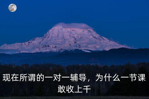 現在所謂的一對一輔導，為什么一節課敢收上千