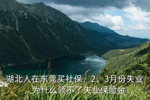 湖北人在東莞買社保，2、3月份失業，為什么領不了失業保險金