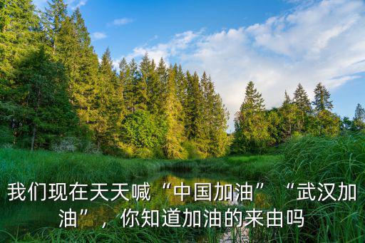 加油武漢加油中國的圖片怎么畫,中國女籃用行動為武漢加油