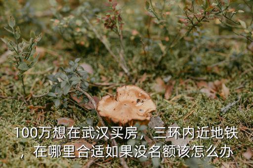 武漢買房無名額怎么辦,100萬想在武漢買房