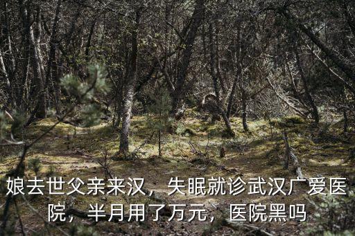 娘去世父親來漢，失眠就診武漢廣愛醫(yī)院，半月用了萬元，醫(yī)院黑嗎
