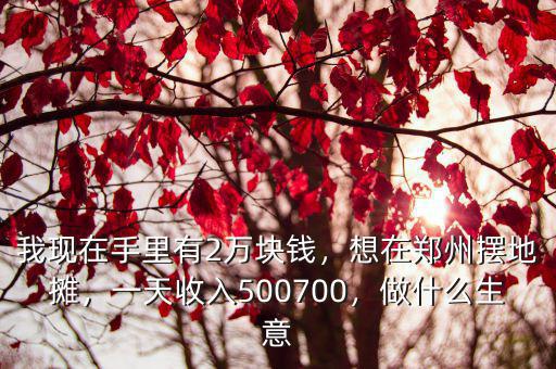 我現在手里有2萬塊錢，想在鄭州擺地攤，一天收入500700，做什么生意